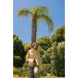 THE BUTTER  YELLOW SIGNATURE SHIRT